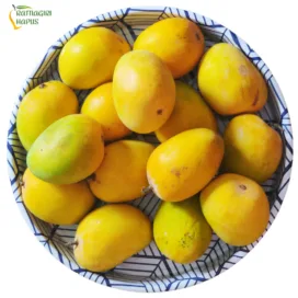Alphonso Mango Peti