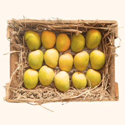 Devgad Hapus Peti (Raw Alphonso Mango)