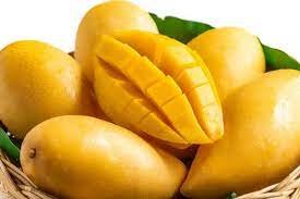 Safeda Mangoes - Andhra Pradesh, 24 Varieties Of Mangoes