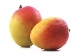Neelam Mangoes - Andhra Pradesh, 24 Varieties Of Mangoes