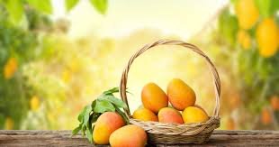 Alphonso Mango Varieties Around the World