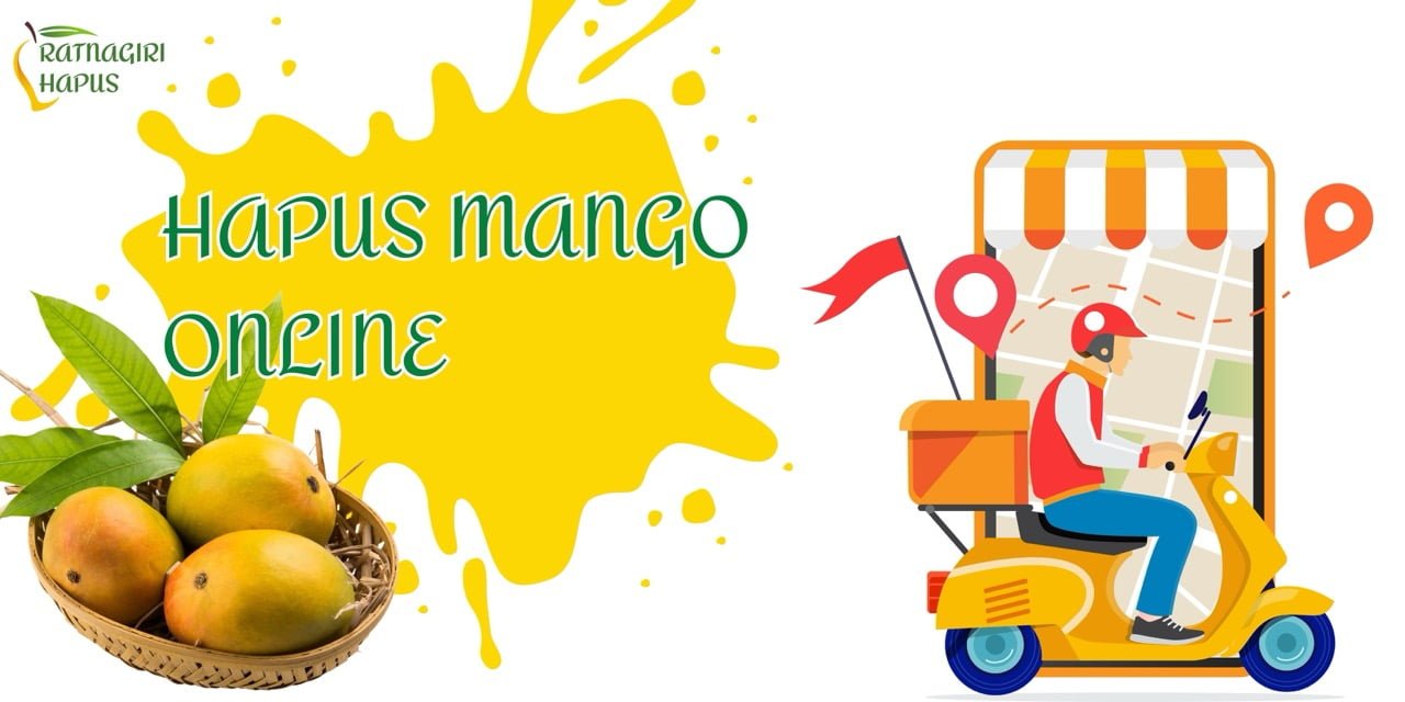 best quality Hapus mangoes online