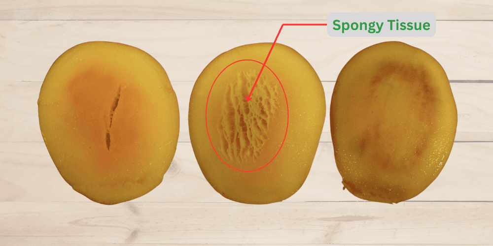 Spongy Tissue Disorder in Alphonso Mangoes