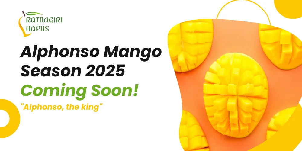 Alphonso Mango Season 2025 Coming Soon!
