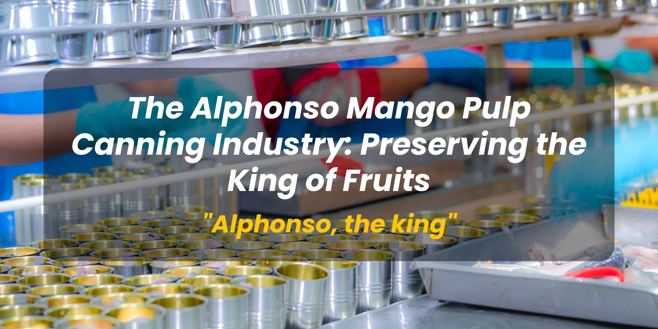 The Alphonso Mango Pulp Canning Industry: Preserving the King of Fruits