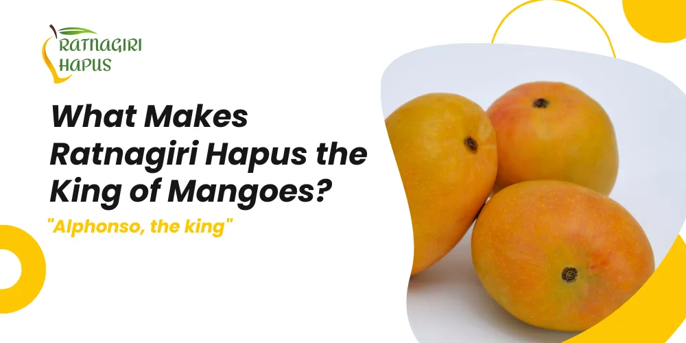 The King of Mangoes: What Makes Ratnagiri Hapus Unique?
