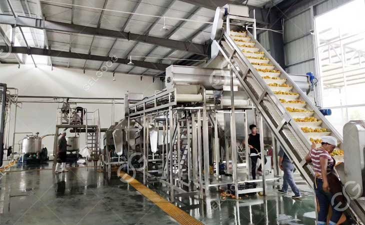 mango-juice-made-in-factory