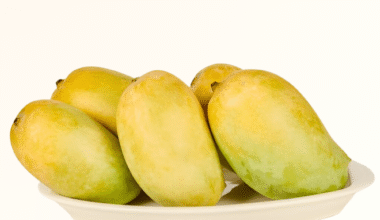 Kesar Hapus 3.0 Kg (6-9 Pieces)