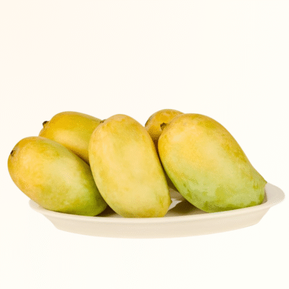 Kesar Mango_Ratnagiri Hapus Store_1