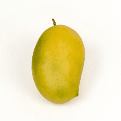 Kesar Mango_Ratnagiri Hapus Store_2