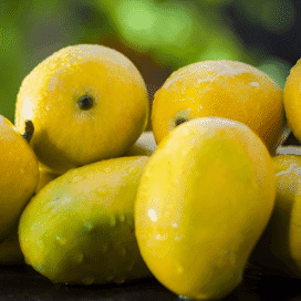 Kesar Mango_Ratnagiri Hapus Store_3