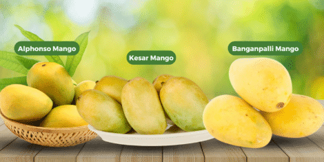 Alphonso vs. Kesar vs. Banganapalli: A Flavor Showdown