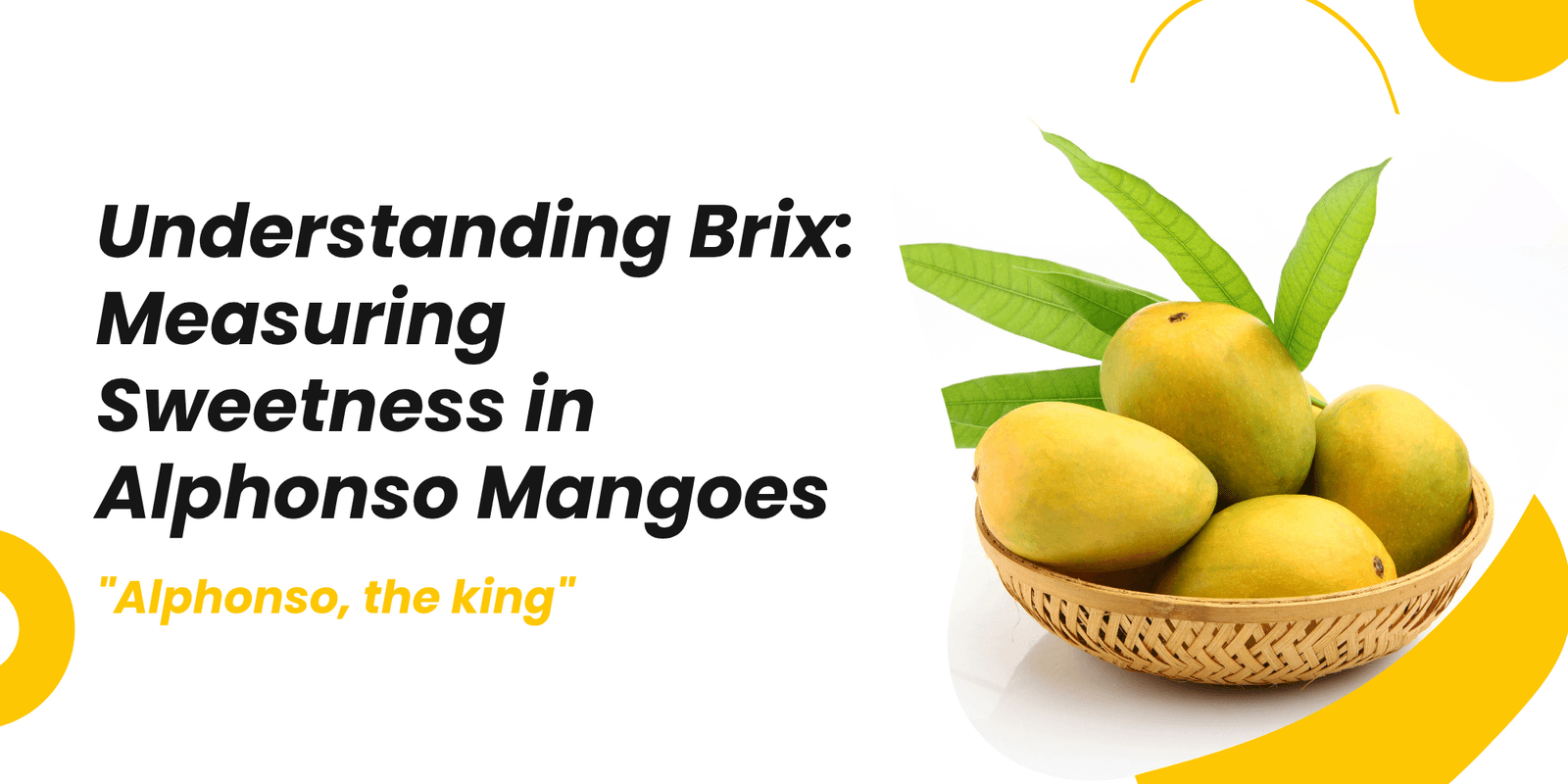 Understanding Brix: Measuring Sweetness in Alphonso Mangoes