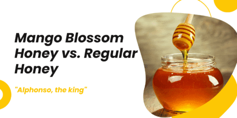 Mango Blossom Honey vs. Regular Honey