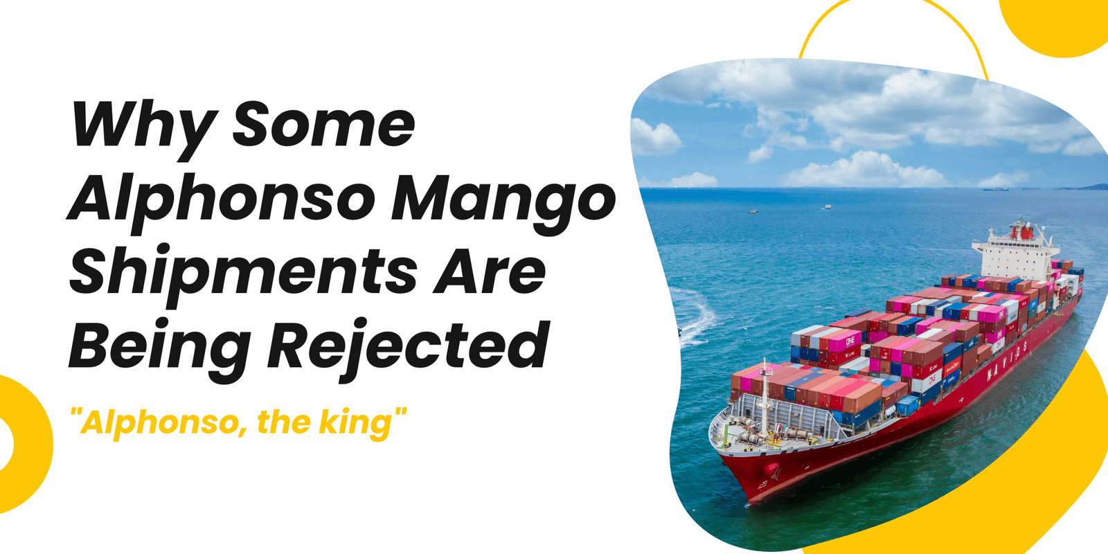 Why Some Alphonso Mango Shipments Are Being Rejected — and How Ratnagiri Hapus Ensures 100% Compliance