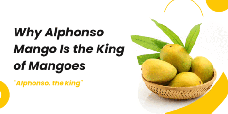 Why Alphonso Mango Is the King of Mangoes