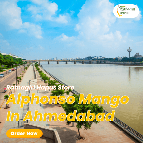 Alphonso Mango In Ahmedabad