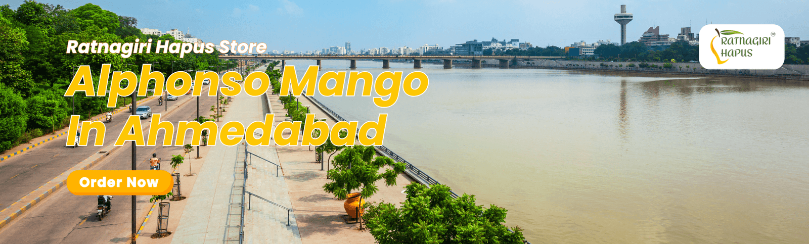 Alphonso Mango In Ahmedabad