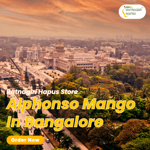 Alphonso Mango In Bangalore