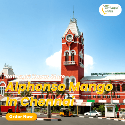 Alphonso Mango In Chennai