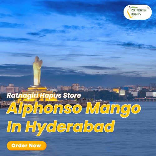 Alphonso Mango In Hyderabad