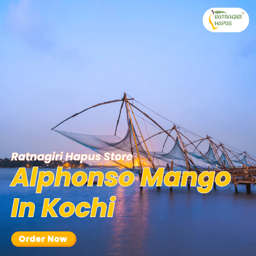 Alphonso Mango In Kochi