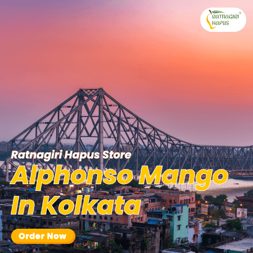 Alphonso Mango In Kolkata
