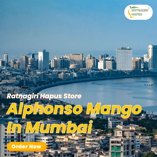 Alphonso Mango In Mumbai