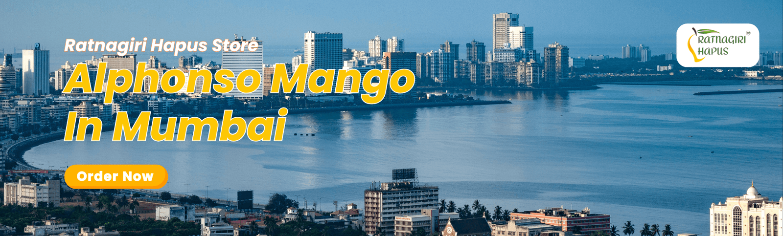 Alphonso Mango In Mumbai