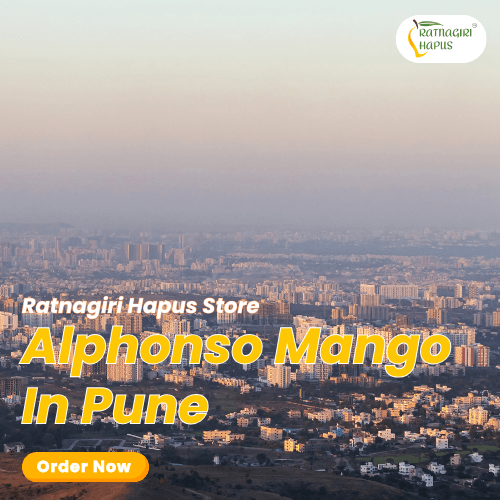 Alphonso Mango In Pune