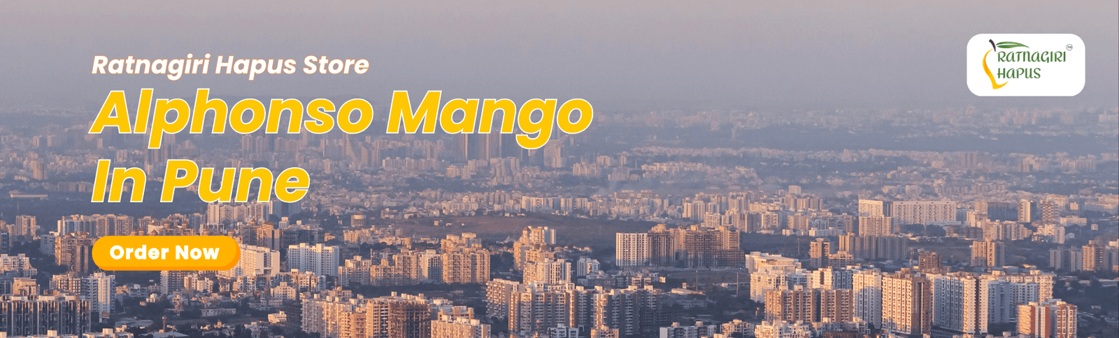 Alphonso Mango In Pune