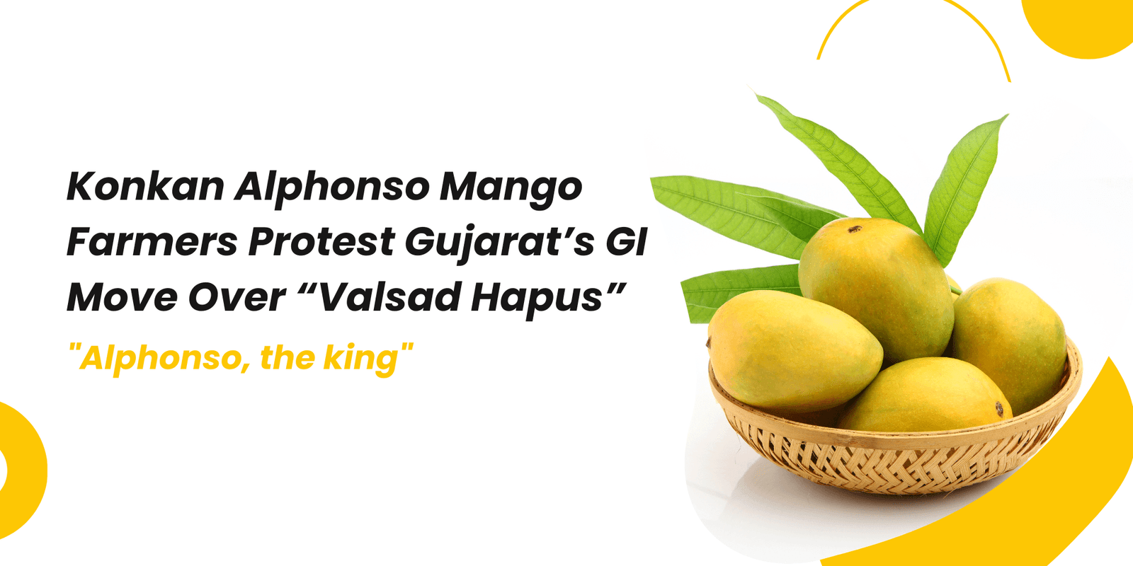 Konkan Alphonso Mango Farmers Protest Gujarat’s GI Move Over “Valsad Hapus”