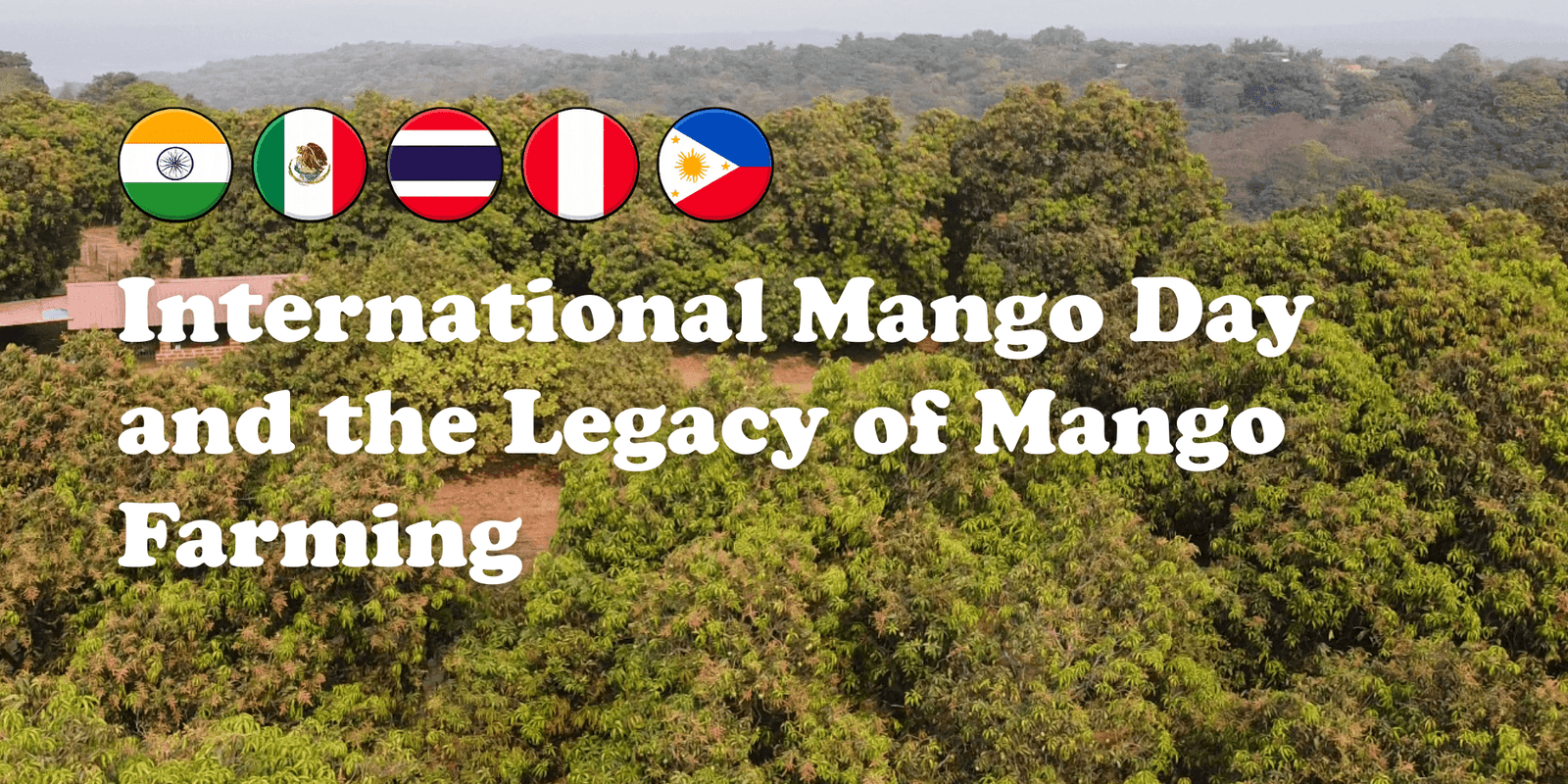 International Mango Day and the Legacy of Mango Farming