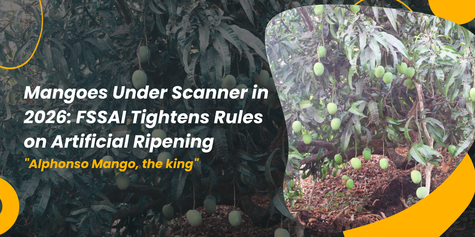 FSSAI Tightens Rules on Artificial Ripening