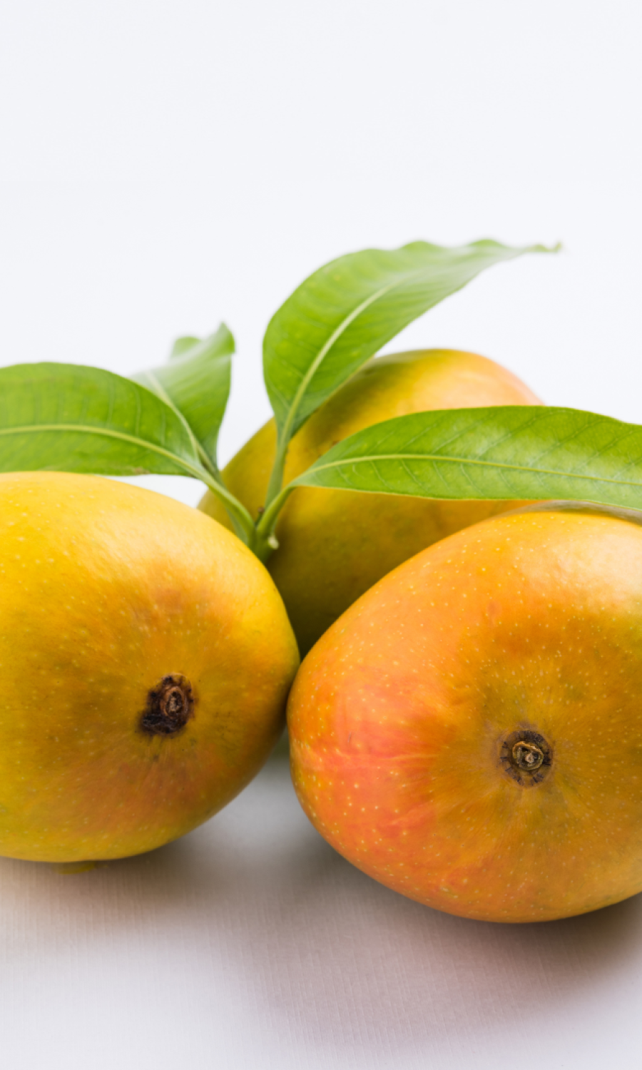 Ratnagiri Hapus Mango